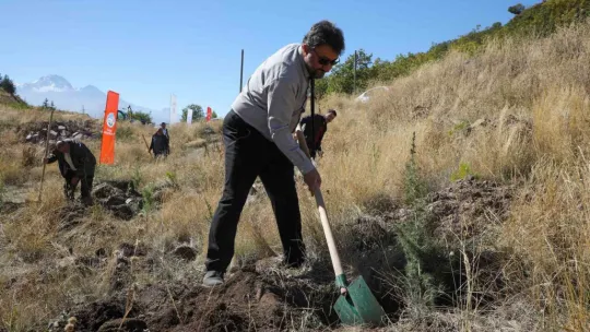 Ali Dağı'na Ağaç Dikmeye Devam