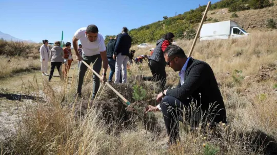 Ali Dağı'na Ağaç Dikmeye Devam