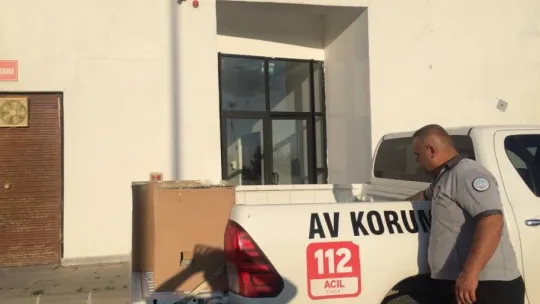 Anneleri ölen yavru leylekler koruma altına alındı