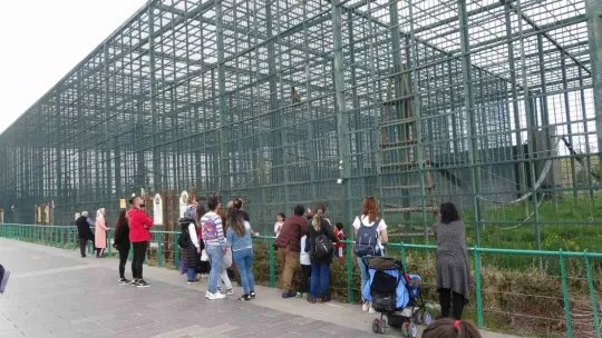 Ara tatilde hayvanat bahçesine yoğun ilgi
