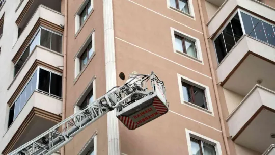 Arılar oğul verdi, belediye duvardan indirdi