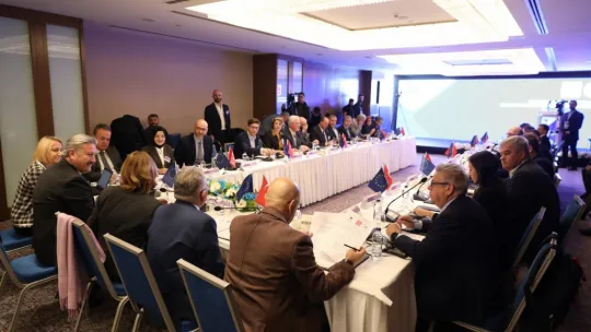 Avrupa Konseyi'nden Başkan Palancıoğlu'na teşekkür