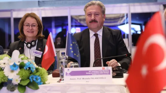 Avrupa Konseyi'nden Başkan Palancıoğlu'na teşekkür