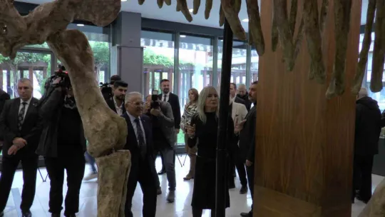 Ayaklanan 7,5 milyon yıllık tarih sergilenmeye başlandı