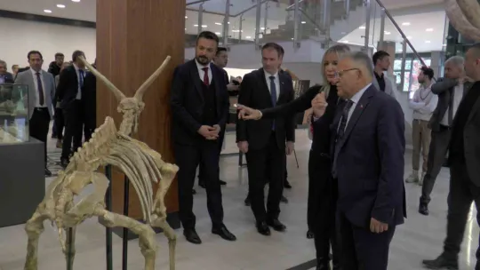 Ayaklanan 7,5 milyon yıllık tarih sergilenmeye başlandı