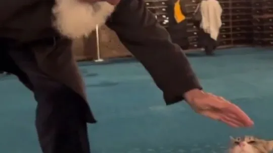 Ayasofya'da kedi sevdiği video ile viral olan Ahmet amca: 'Kediye canım kaynadı sevdim, beni filme almışlar'