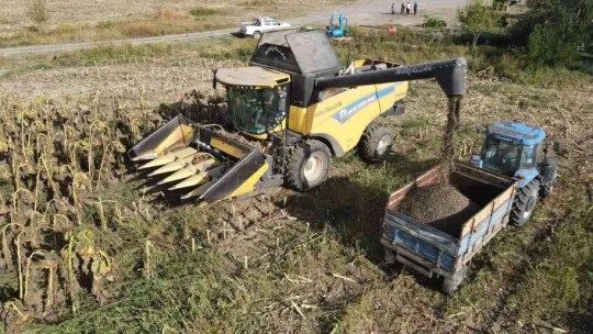 Ayçiçeği hasadı çiftçinin yüzünü güldürdü