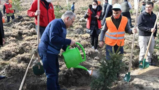 3 yılda 300 bin fidan toprakla buluştu