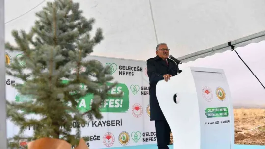 3 yılda 300 bin fidan toprakla buluştu