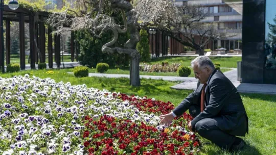 Başkan Büyükkılıç: 'Çevreyi evimiz bildik, çevre dostu belediye olduk'