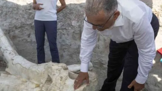 Başkan Büyükkılıç: 'Paleontolojinin tarihini yeniden yazacağız'