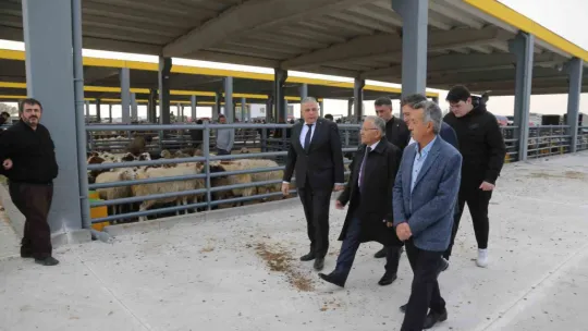 Başkan Büyükkılıç, Canlı Hayvan Pazarı'nda sıkı pazarlığa katıldı