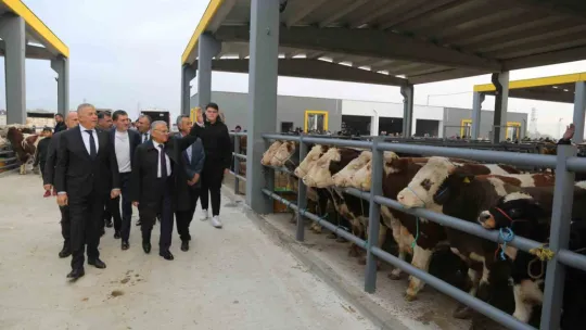 Başkan Büyükkılıç, Canlı Hayvan Pazarı'nda sıkı pazarlığa katıldı