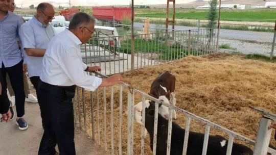 Büyükşehir'den 4 yılda 226 milyon TL'lik 'tarım ve hayvancılık' atılımı