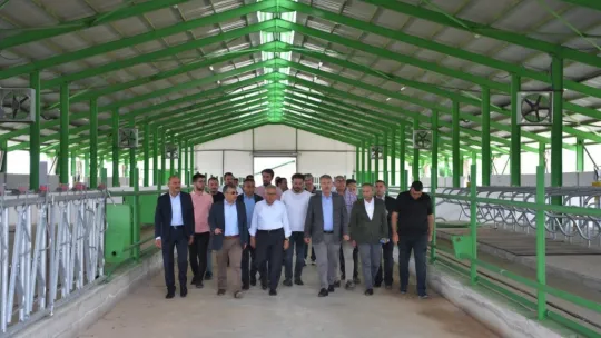 Başkan Büyükkılıç'tan Felahiye'de hayvancılığa yeni hamle