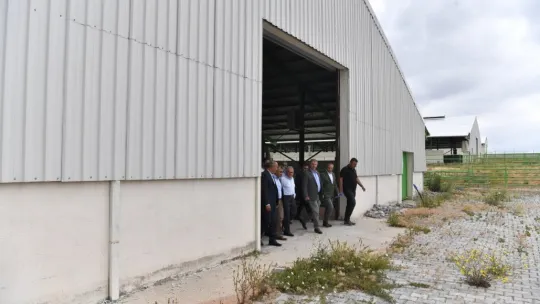 Başkan Büyükkılıç'tan Felahiye'de hayvancılığa yeni hamle