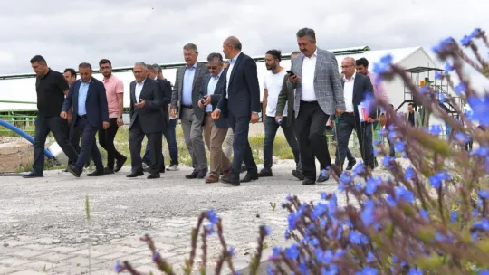 Başkan Büyükkılıç'tan Felahiye'de hayvancılığa yeni hamle