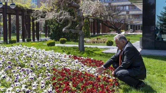 Başkan Büyükkılıç'tan Türkiye'ye örnek olacak 'yeşil alan' uygulaması