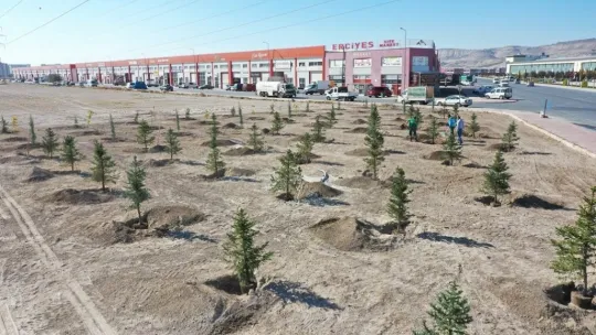 Başkan Çolakbayrakdar: 'Bu yıl 100 binden fazla ağacı toprakla buluşturduk'