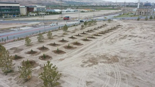 Başkan Çolakbayrakdar: 'Bu yıl 100 binden fazla ağacı toprakla buluşturduk'