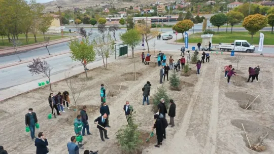 Başkan Çolakbayrakdar: 'Bu yıl 100 binden fazla ağacı toprakla buluşturduk'