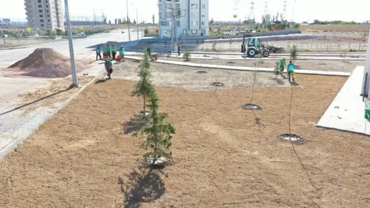 Başkan Çolakbayrakdar: 'Bu yıl 100 binden fazla ağacı toprakla buluşturduk'
