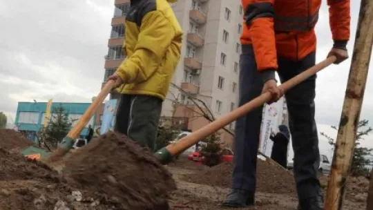 Başkan Çolakbayrakdar: 'Bu yıl 100 binden fazla ağacı toprakla buluşturduk'