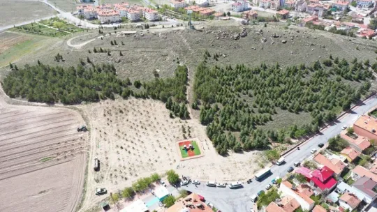 Başkan Çolakbayrakdar 'Daha güzel çevre için yoğun gayret gösteriyoruz'