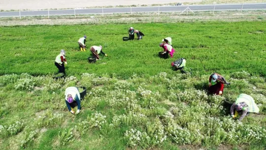 Başkan Çolakbayrakdar: 'Kadınlarımız, başımızın tacıdır'