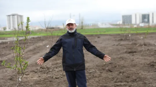 Bu parkta, çocuklar dalından meyve yiyecekler