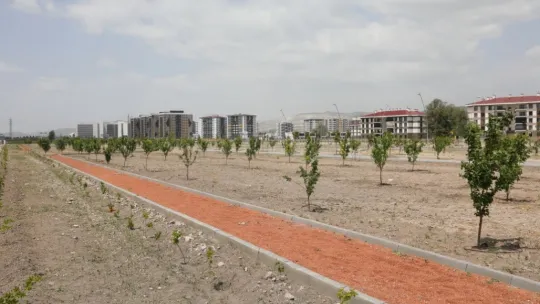 Bu parkta, çocuklar dalından meyve yiyecekler