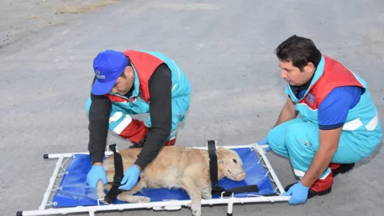 Başkan Çolakbayrakdar 'Küçük Dostlar Ambulansı 6 bin 439 can kurtardı'