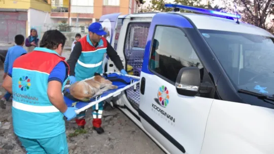 Başkan Çolakbayrakdar 'Küçük Dostlar Ambulansı 6 bin 439 can kurtardı'