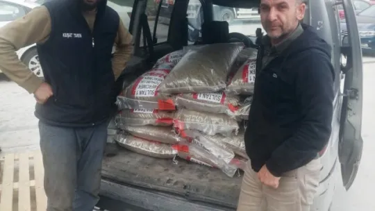 Kocasinan 6 ton yeşil mercimek tohumu dağıtıyor