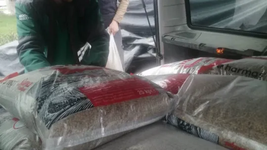Kocasinan 6 ton yeşil mercimek tohumu dağıtıyor