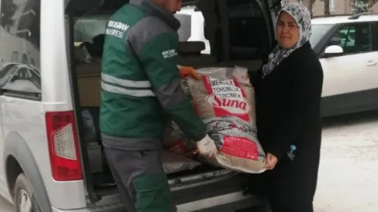 Kocasinan 6 ton yeşil mercimek tohumu dağıtıyor