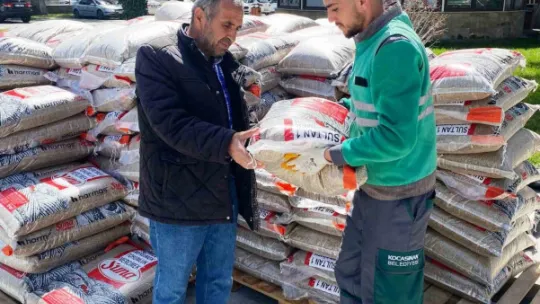 Kocasinan 6 ton yeşil mercimek tohumu dağıtıyor