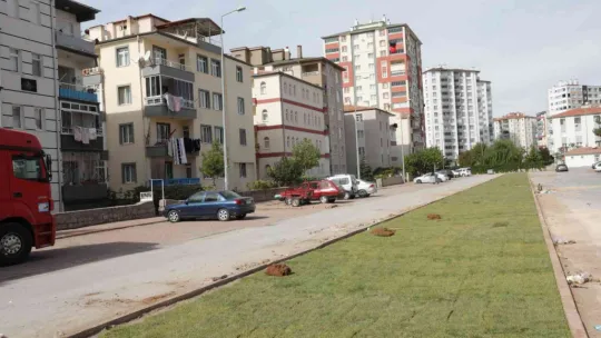 Başkan Çolakbayrakdar 'Yeşil alan ağırlıklı parklarla şehrin yeşil oranını artırıyoruz'