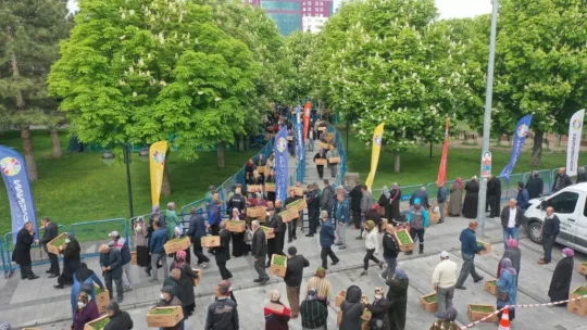 Kocasinan'dan organik domates fidesi dağıtım etkinliğine davet