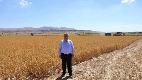 Başkan Dr. Palancıoğlu: 'Bölge tarımına destek Aspir tohumları hasat edilmeye başlandı'