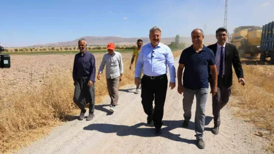 Başkan Dr. Palancıoğlu: 'Bölge tarımına destek Aspir tohumları hasat edilmeye başlandı'