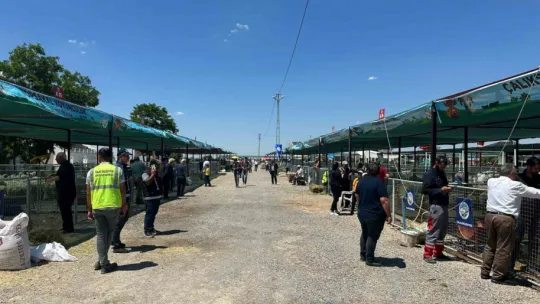 Besicilerden Başkan Yalçın'a hayvan pazarı teşekkürü