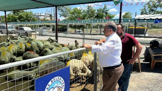 Besicilerden Başkan Yalçın'a hayvan pazarı teşekkürü