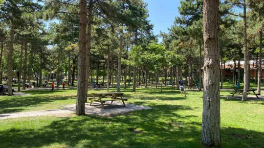 30 yıllık Mesire Alanı yenileniyor