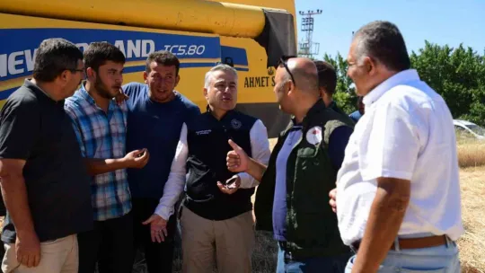 Buğday hasadı yüz güldürdü
