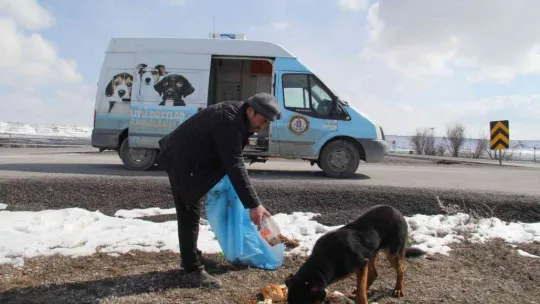 Bünyan Belediyesi ekipleri yaban hayvanları için yem bıraktı
