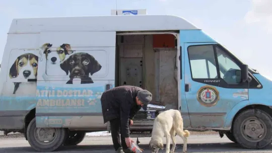 Bünyan Belediyesi ekipleri yaban hayvanları için yem bıraktı