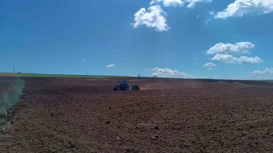 Bünyan'da Aspir ekimine devam ediliyor