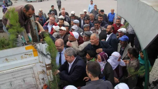 Bünyan'da fidan dağıtımı yapıldı