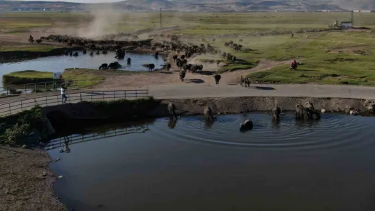 Burası Afrika değil Kayseri